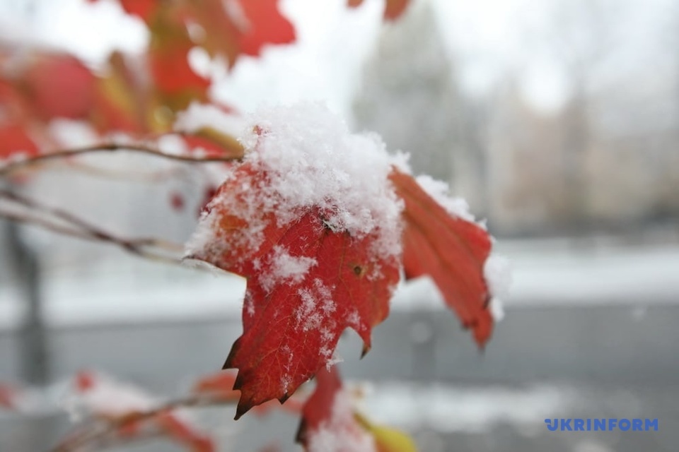 Перший сніг у Харкові