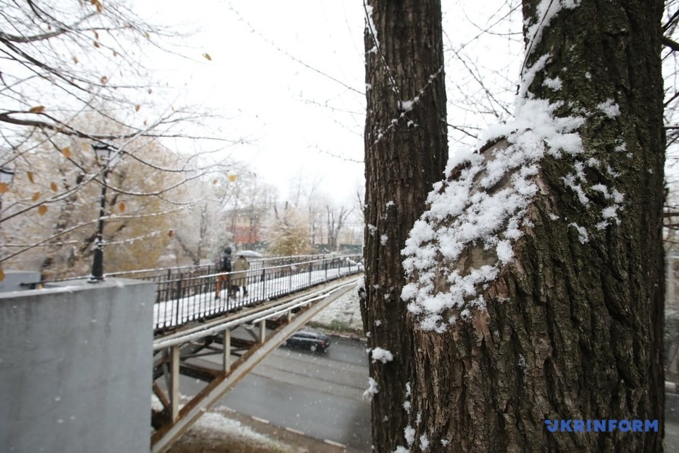Перший сніг у Харкові