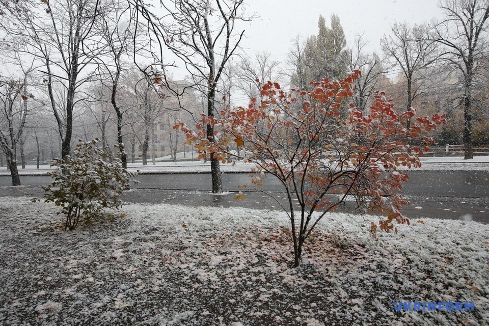 Перший сніг у Харкові
