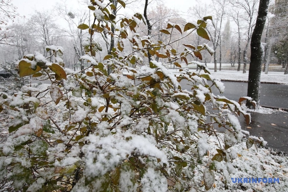 Перший сніг у Харкові