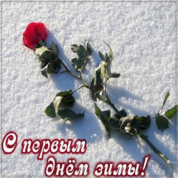 с первым днем зимы фото с первым днем зимы фото