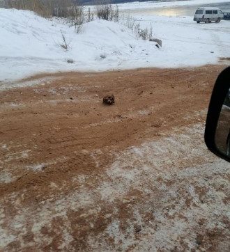 Кості Кості