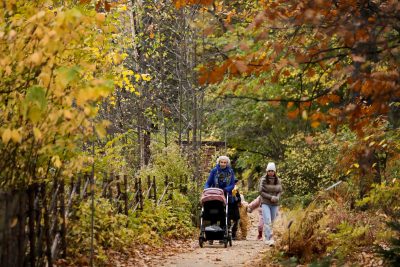 Леву можуть надати неоціненну послугу – Гороскоп на сьогодні 3 листопада 2020 року для всіх