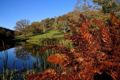 В Україну йде потепління: синоптики дали несподіваний прогноз погоди на вихідні ​