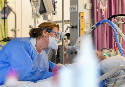 Хантавирус в Европе - что известно о первом случае и чем опасен вирус