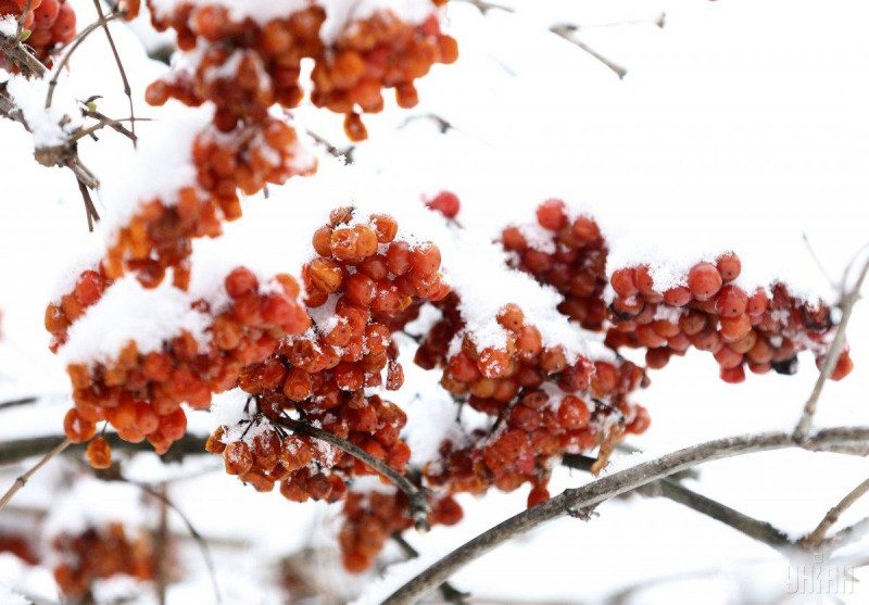 Снега украинцам не видать: синоптик удивил прогнозом на ближайшие пару лет