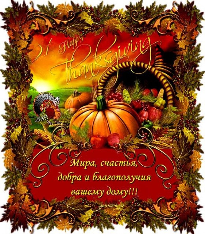 Happy Thanksgiving Day! Поздравления для родных, друзей и коллег на английском