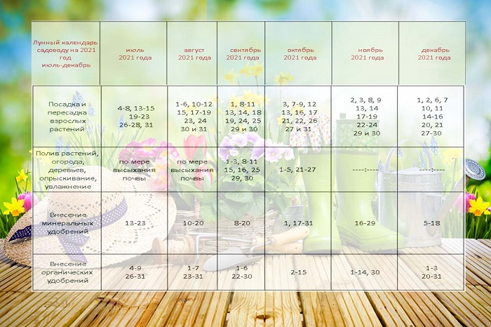 Місячний посівний календар на 2021 рік: таблиця на друге півріччя
