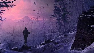 The Long Dark The Long Dark