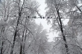 Погода в Украине на Новый год / pixabay