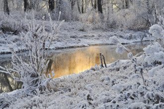 Февраль в Украине будет морозным / pixabay Февраль в Украине будет морозным / pixabay