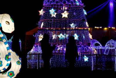 Гороскоп на 8 грудня для всіх: діловий бум та оживлення кохання