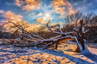 День зимнего солнцестояния 2020 - что делать - практики и ритуалы