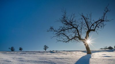 Магнитная буря с 23 декабря затронет и Рождество 2020 - как пережить