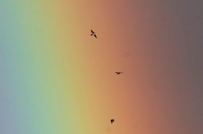 Гороскоп на 28 грудня для всіх: можливість заробітку, стрибок сил та оживлення думок