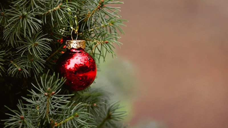 "Бабье лето" на Рождество: синоптик дал неожиданный прогноз погоды ​