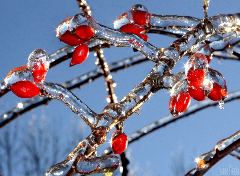 Ударит мороз, завалит снегом: синоптик рассказала, где и когда ждать ледяную погоду