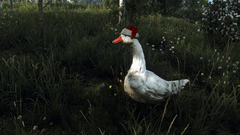 Для The Witcher 3: Wild Hunt вышел мод "Рождественские гуси"