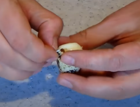 Назван простой способ очистки яиц перепела Назван простой способ очистки яиц перепела