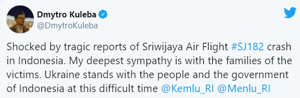 "Украина рядом": в МИД Украины отреагировали на авиакатастрофу в Индонезии