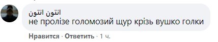 "Не пролезет лысая крыса": Добкину досталось в Сети за пиар на Кернесе
