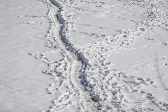 Синоптики попередили, що Закарпаттю загрожує негода – Погода завтра Синоптики попередили, що Закарпаттю загрожує негода – Погода завтра