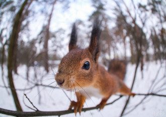 В нашей стране на выходных днем спрогнозировано до +12 – Погода завтра В нашей стране на выходных днем спрогнозировано до +12 – Погода завтра