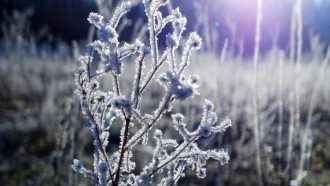 Погода на выходные в Украине / pixabay