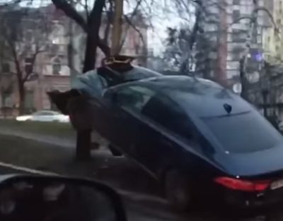 У центрі Києва престижна іномарка 'вилетіла' на дерево У центрі Києва престижна іномарка 'вилетіла' на дерево
