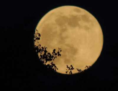 В конце февраля ожидаются самые мощные сутки – Подробный лунный календарь февраль 2021  В конце февраля ожидаются самые мощные сутки – Подробный лунный календарь февраль 2021