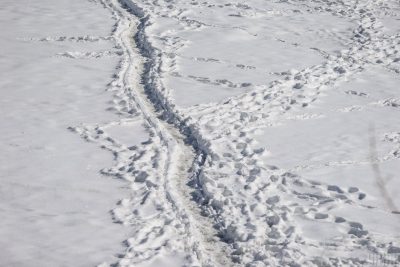 Синоптики предупредили, что Закарпатью грозит непогода – Погода завтра 