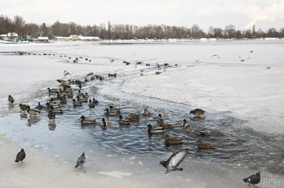 погода, зима, відлига погода, зима, відлига