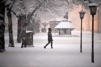 Гороскоп для всіх на 29 січня: життєвий злет, отруєння та жорсткі ревнощі