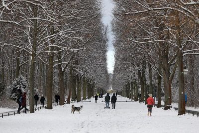 Гороскоп для всіх на 1 лютого: заборона на курятину та походи "наліво"