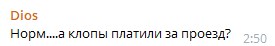 "Путинские боевые клопы": в Сети возмутились насекомыми, кусающими пассажиров в поезде "Путинские боевые клопы": в Сети возмутились насекомыми, кусающими пассажиров в поезде