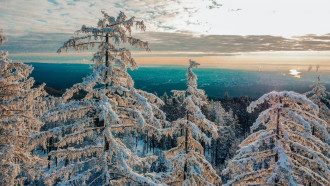 В Украине ударят сильные морозы / pixabay В Украине ударят сильные морозы / pixabay
