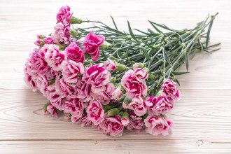 23 лютого - листівки та привітання на свято 23 лютого - листівки та привітання на свято