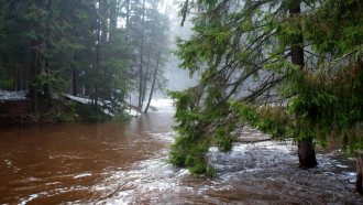 Погода Погода