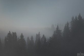 Карпаты,туман