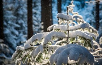 Погода Погода