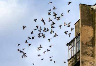 В гороскопе говорится, что счастливчиками дня будут Рыбы 