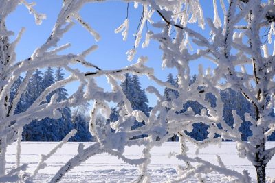 сніг_зима_мороз_погода