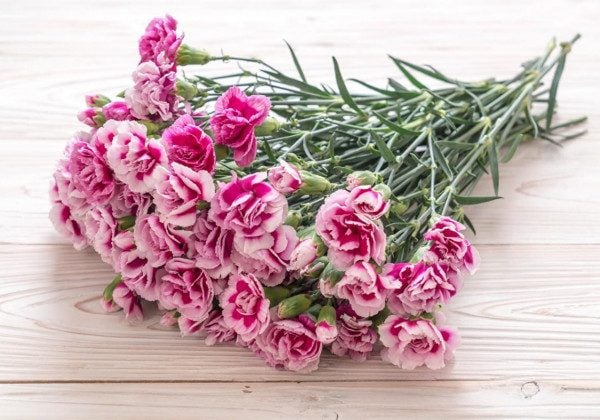 23 лютого - які привітання дарують сьогодні