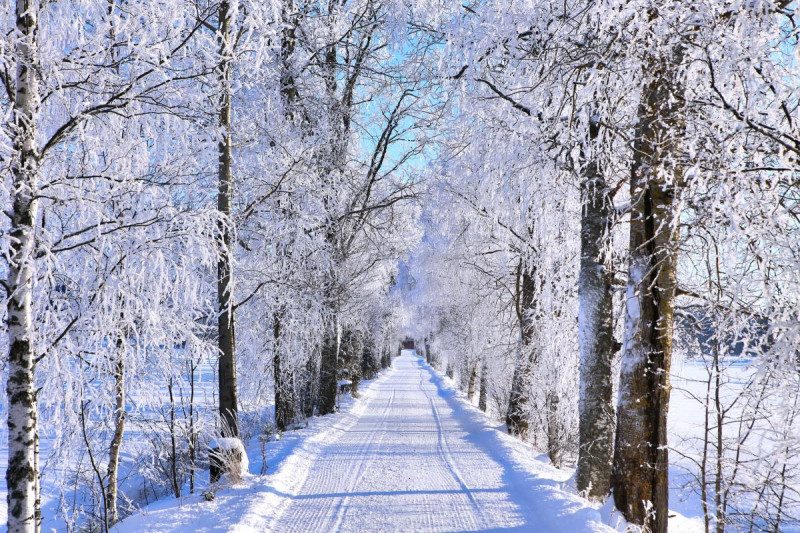 В Україну повернеться сильний снігопад, і атакує холод
