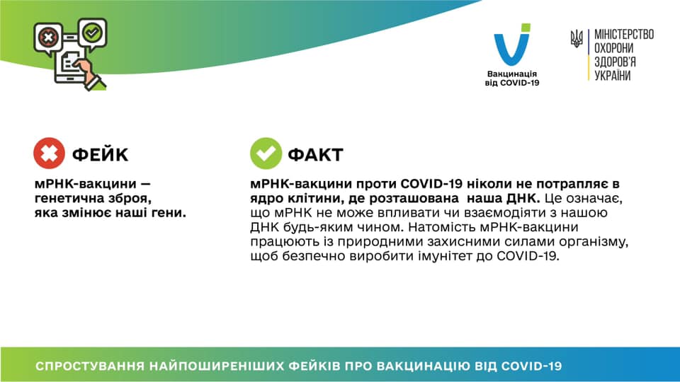 В Минздраве разгромили главные фейки о вакцине CoviShield В Минздраве разгромили главные фейки о вакцине CoviShield