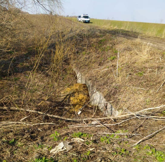 Тіло знайшли у канаві: у Києві викрали та вбили громадського активіста Тіло знайшли у канаві: у Києві викрали та вбили громадського активіста