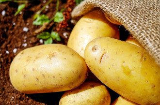Продукты Продукты