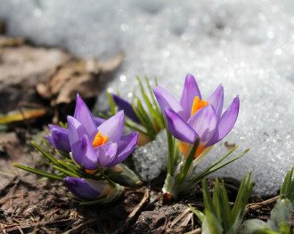 Погода Погода