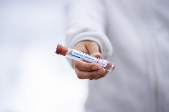 Коронавірус Коронавірус