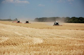Сільське господарство Сільське господарство